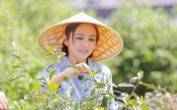 生活就这样作文优质7篇