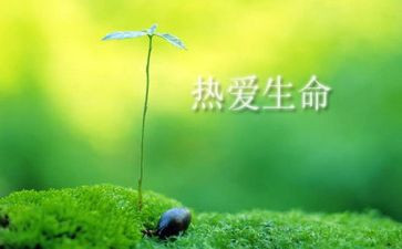 爱生命作文推荐6篇