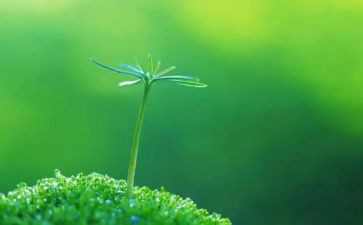 心系安全珍爱生命演讲稿8篇