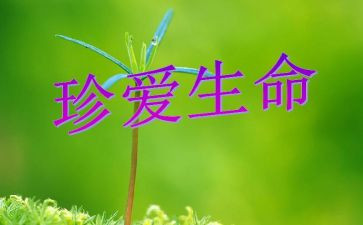 谈生命的作文600字优质8篇