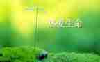 珍爱生命的的心得体会6篇