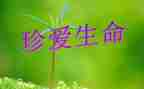 珍爱生命作文400字7篇