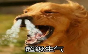 生气作文400字8篇