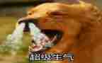 生气作文400字8篇