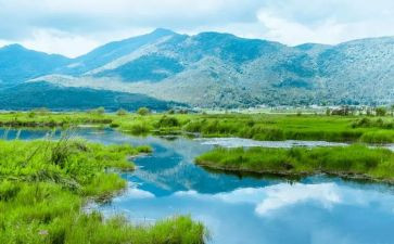 生态环保的作文8篇