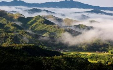 关于生态的心得7篇