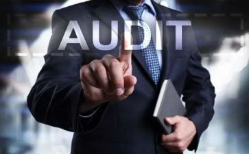 审核年度工作总结5篇