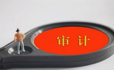 做审计的心得体会优秀5篇