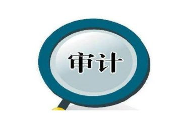 内部审计工作总结8篇