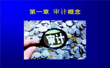 审计员述职报告6篇