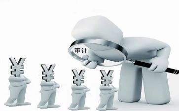 审计年度工作总结最新8篇