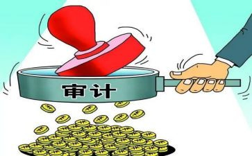 2024年审计述职报告推荐8篇