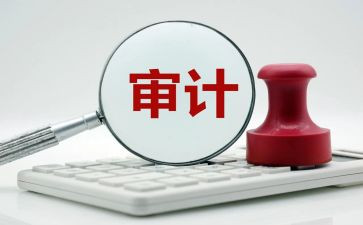 做审计的心得体会7篇
