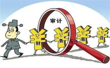 2024年审计个人述职报告6篇