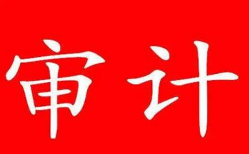 审计员个人总结范文5篇