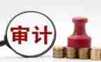 审计年度个人总结6篇
