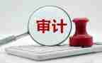 做审计的心得体会7篇