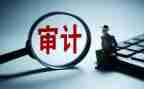 内部审计工作总结参考5篇