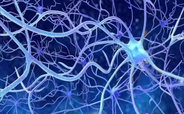神经外科护理个人总结6篇