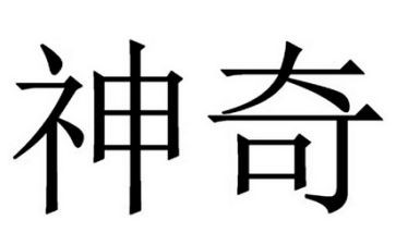 作文神奇的笔300字6篇