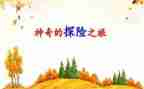 作文神奇的探险之旅300字5篇