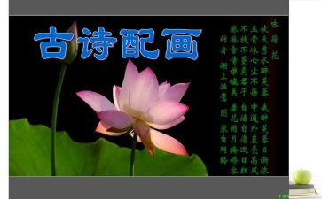 诗歌比赛活动策划8篇