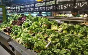 校园市场营销方案8篇