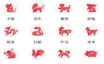十二生肖教案精选5篇