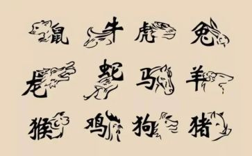 十二生肖中班教案8篇