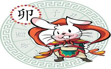 十二生肖教案8篇