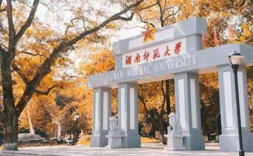 师范类毕业生个人总结7篇