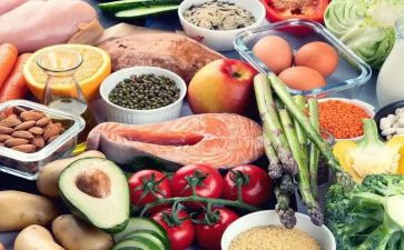 食品科培训计划6篇
