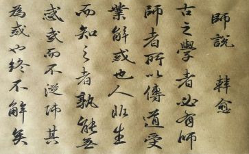 师说心得体会800字5篇