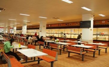食堂工作年度总结6篇