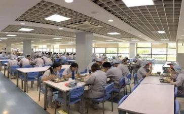 2024年食堂个人总结模板8篇