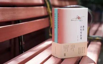 中国诗文化作文5篇