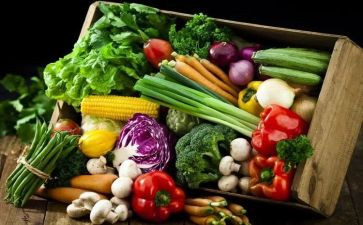 送食物教案优质7篇