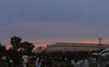 我的视线作文7篇