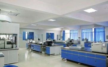 作文写实验的作文6篇