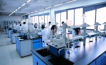 局解实验报告心得体会7篇