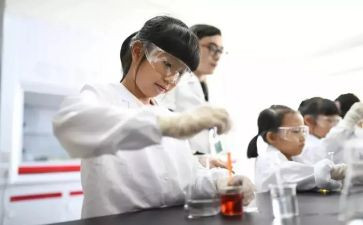 局解实验心得体会优质5篇