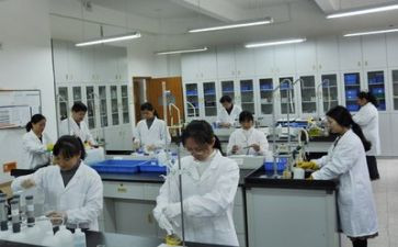 写实验的优秀作文参考8篇