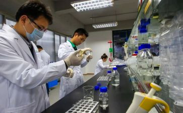 试验室工作总结推荐7篇