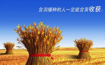 收获成功的作文通用8篇