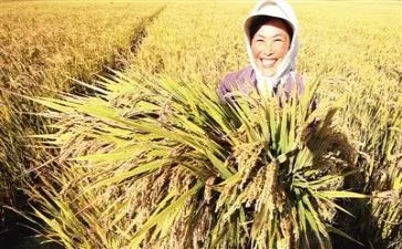 实习收获心得推荐6篇