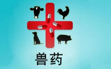 兽药厂新员工工作总结8篇