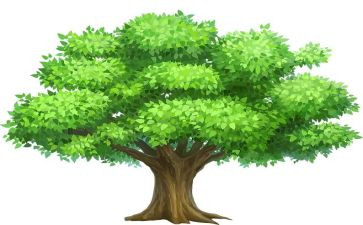 植树节活动方案策划8篇