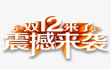双12活动总结优质8篇