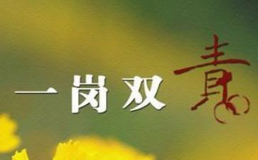 履行一岗双责工作总结7篇