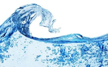 水的调查报告300字模板6篇
